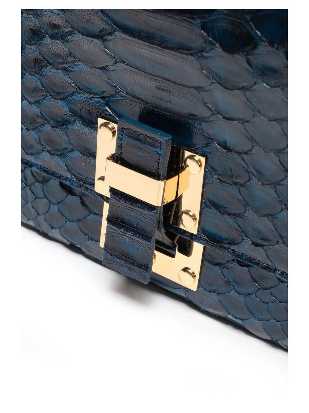 Blue Python-Texture Crossbody Bag with Gold Hardware - Picture 3 of 4